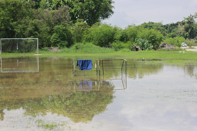 无不体现出 无不体现出